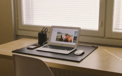 Five reasons to choose Spark Online Retail for your website design services